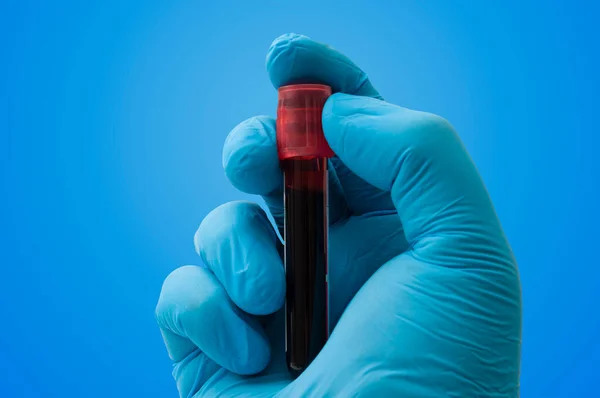 Lab diagnostic, examine microbiology and plasma testing concept with doctor holding test tube with blood sample in hand with sterile latex gloves isolated on blue background and clipping path cutout