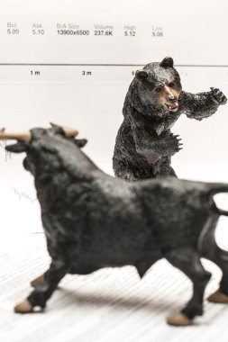 Bull Vs ayı borsa kavramı