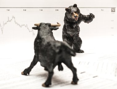 Bull Vs ayı borsa kavramı