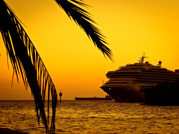 Orange silhouette  of a cruise ship at dawn or dusk and the leafs of a palm tree in the corner of the image illustrating the concept of traveling and vacation