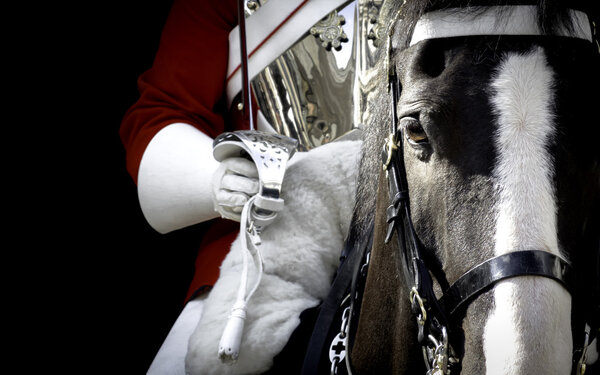 Black horse mounted by a british royal guard
