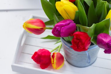 Sarı, mor ve kırmızı lale buketi