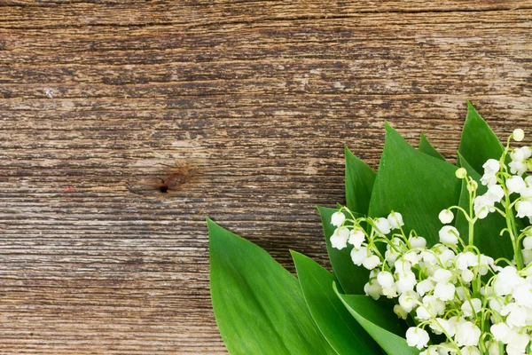 Maiglöckchen auf Holz — Stockfoto