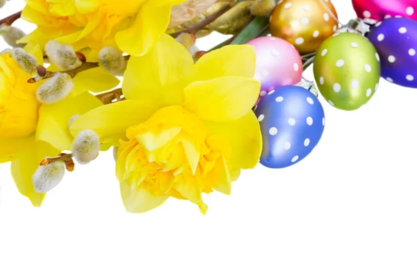 卵と春水仙 — ストック写真