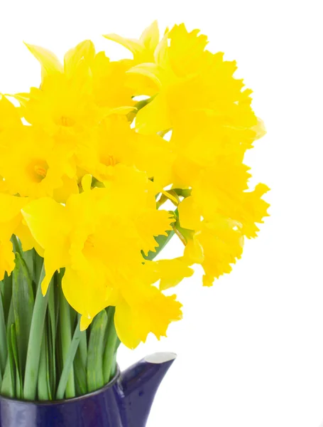 Round bouquet of  spring narcissus — Stock Photo, Image