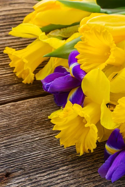 Easter daffodils and irise — Stock Photo, Image