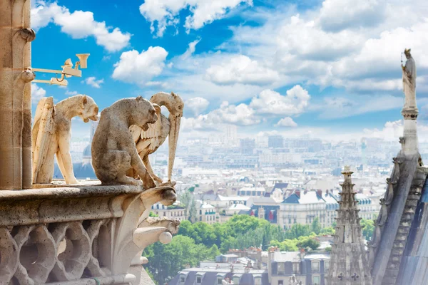 Gargulec Paryża — Zdjęcie stockowe
