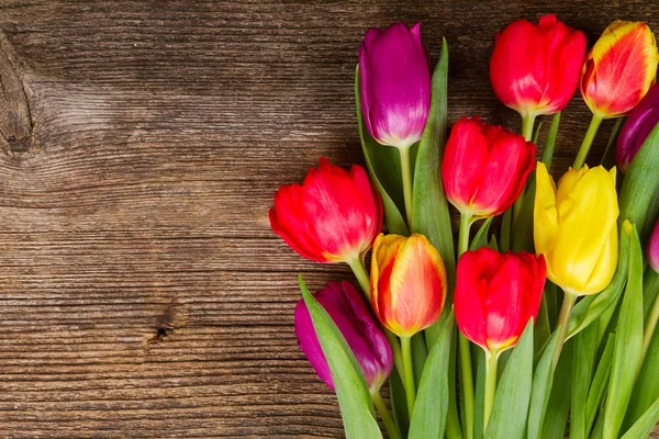 Buquê de tulipas roxas e vermelhas — Fotografia de Stock