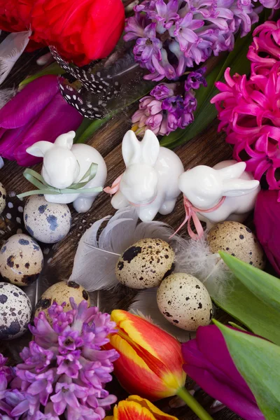 Spring flowers with easter eggs — Stock Photo, Image