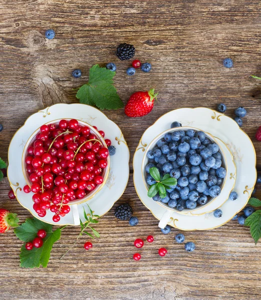 Fresh red currant and blueberry — Stock Photo, Image