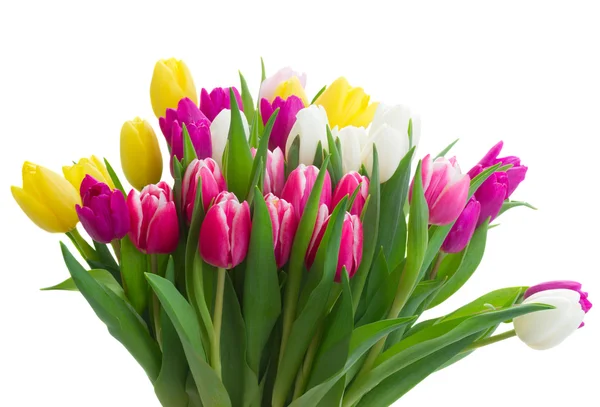 Bouquet of  pink, purple and white  tulips — Stock Photo, Image