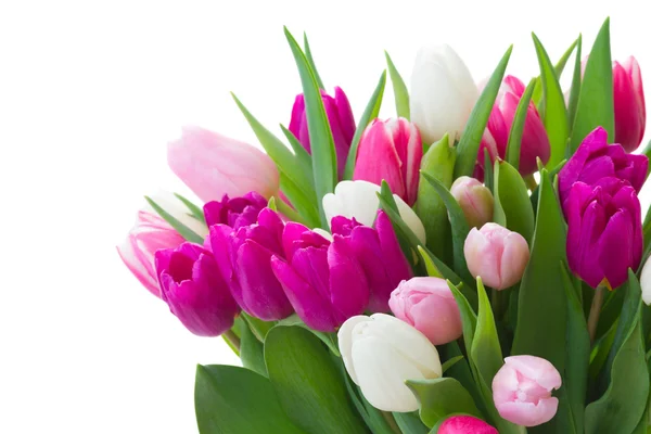 Bukiet tulipanów różowy, fioletowy i biały — Zdjęcie stockowe