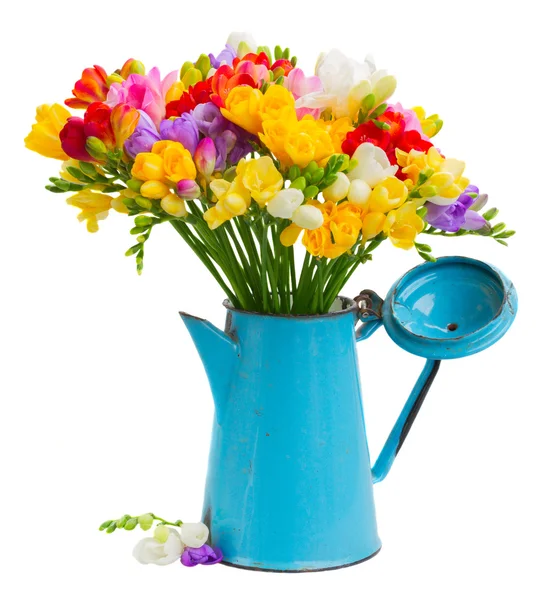 fresia bloemen s verse fresia s bloemen stockfoto 169 neirfys 104283518 fresia bloemen s verse fresia s bloemen stockfoto 169 neirfys 104283518