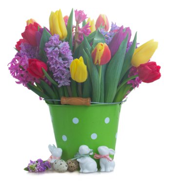 sümbüller ve laleler