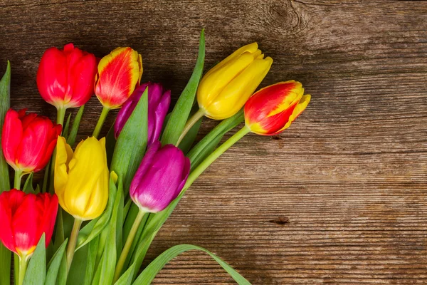 Ramo de tulipanes morados y rojos — Foto de Stock