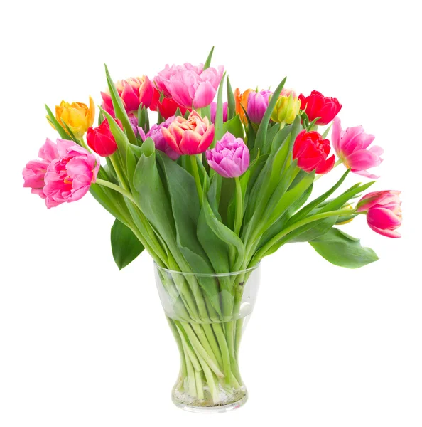 Bouquet of  pink, purple and red  tulips — Stock Photo, Image