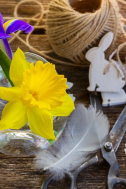 Paskalya nergis ve tavşan