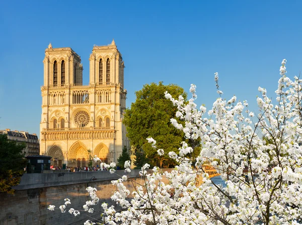 Katedrála Notre Dame, Paříž Francie — Stock fotografie