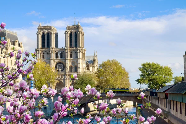 Notre Dame kathedraal, Parijs Frankrijk — Stockfoto