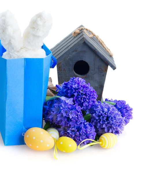 Paskalya yumurtaları ile mavi sümbül — Stok fotoğraf