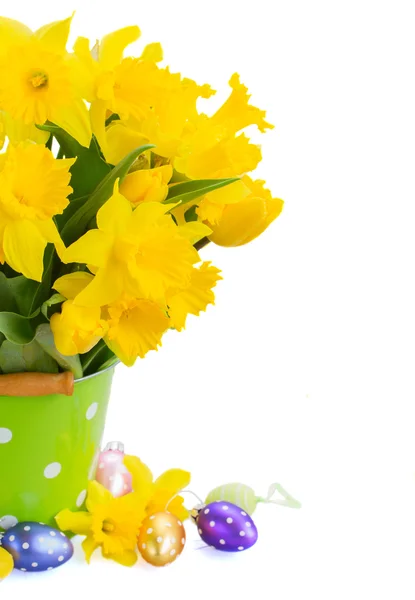 Yellow spring narcissus — Stock Photo, Image