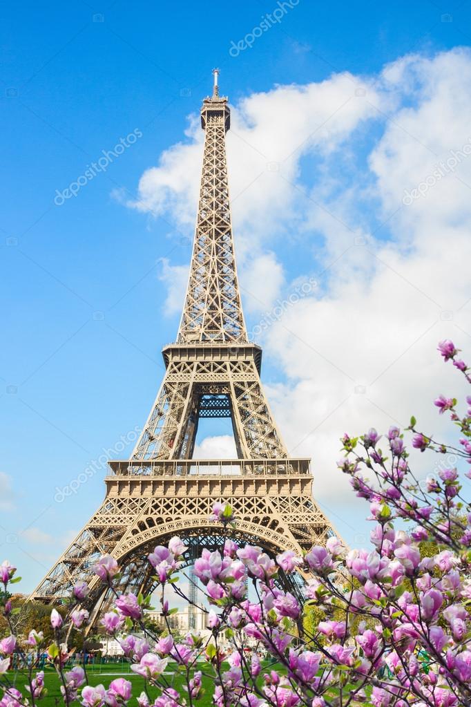 Eiffel Tower and Paris cityscape