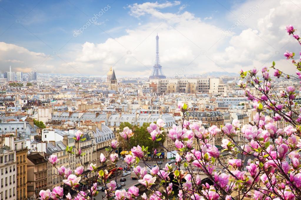 skyline of Paris with eiffel tower