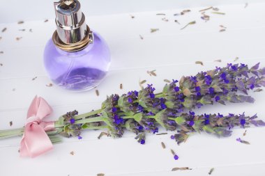 Lavanta çiçekleri spa