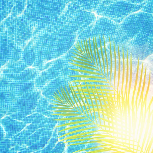 凉爽泳池里的水与棕榈树 — 图库照片