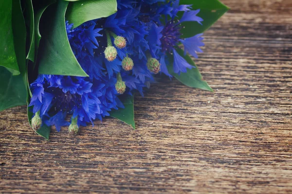 Blauwe korenbloemen op hout — Stockfoto