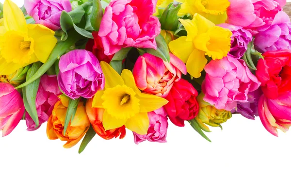 Bouquet of   tulips and daffodils — Stock Photo, Image