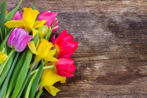 Bouquet of   tulips and daffodils — Stock Photo, Image