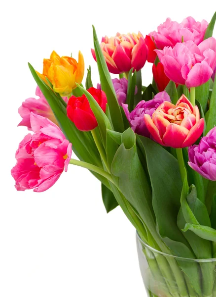Букет розовых, фиолетовых и красных тюльпанов — стоковое фото