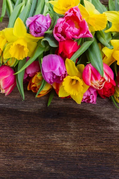 Bouquet of   tulips and daffodils — Stock Photo, Image