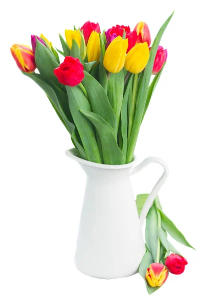 Buquê de tulipas amarelas, roxas e vermelhas — Fotografia de Stock