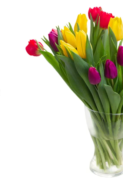 Bouquet de tulipes jaunes, violettes et rouges — Photo