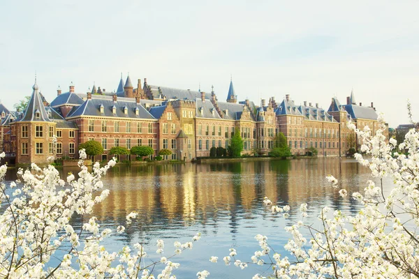 Nederlandse Parlement bij morning, Den Haag — Stockfoto