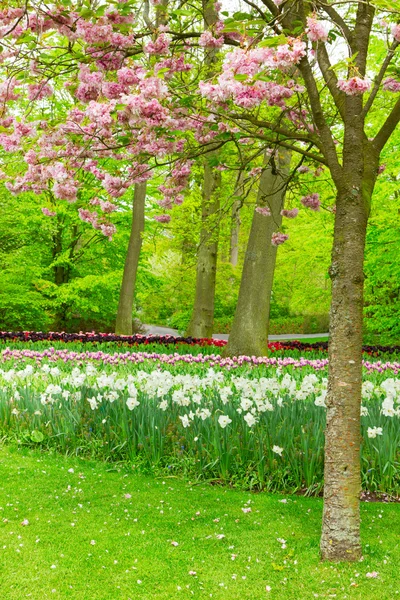 Jardin de printemps à Keukenhof, Hollande — Photo