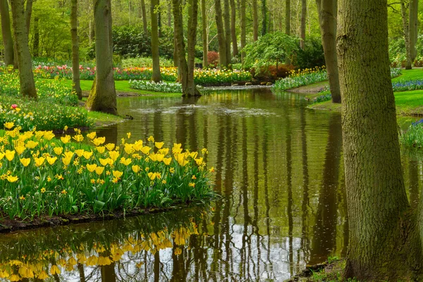 Ogród keukenhof wiosną, Holandia — Zdjęcie stockowe