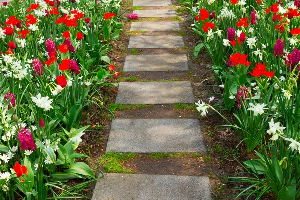 Steinpfad windet sich in einem Garten — Stockfoto