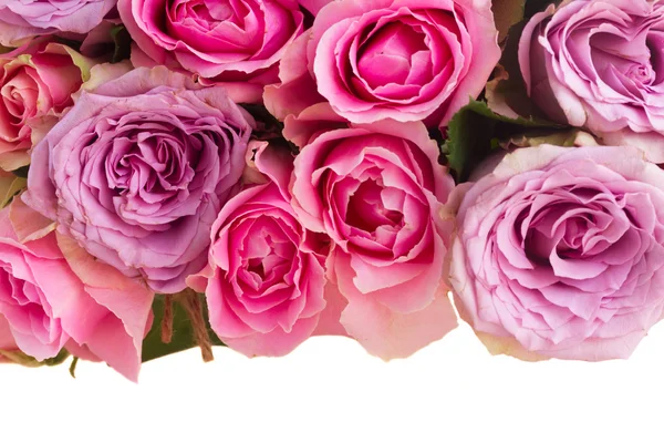 Ramo de rosas frescas — Foto de Stock