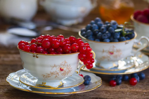 Grosella roja y arándano en tazas — Foto de Stock