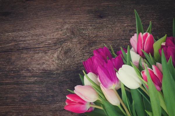 Strauss aus rosa, lila und weißen Tulpen — Stockfoto