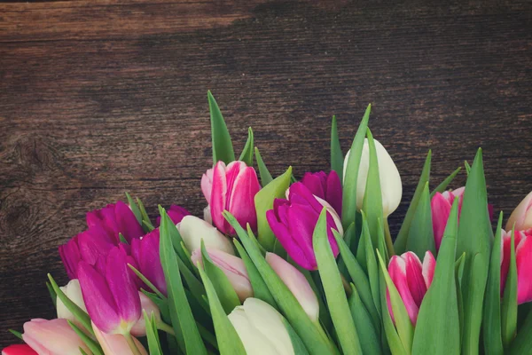 Kytice růžové, fialové a bílé tulipány — Stock fotografie