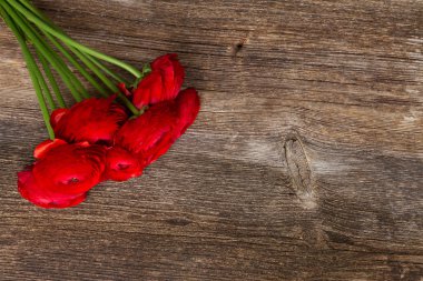 Kırmızı tipik çiçekler