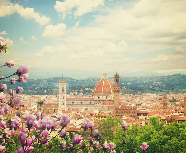 Katedral Santa Maria del Fiore, Floransa, İtalya — Stok fotoğraf