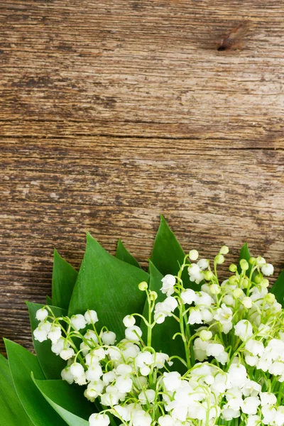 Lilly of valley on wood — Stock Photo, Image