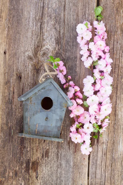 Twigs with cherry flowers and birdcage — Stock Photo, Image