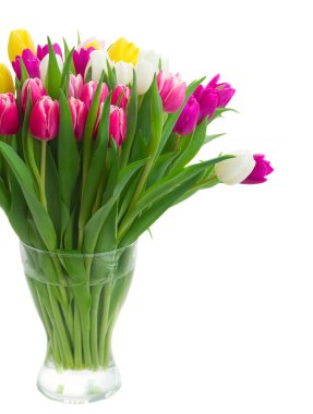 buket pembe, mor ve beyaz laleler