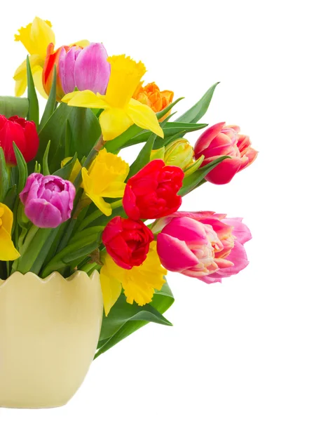 Bouquet di tulipani e narcisi — Foto Stock